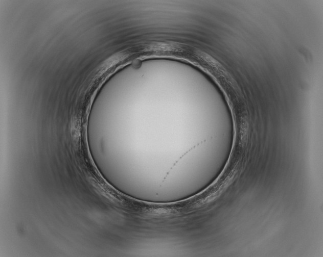 X0000115231017200911131639