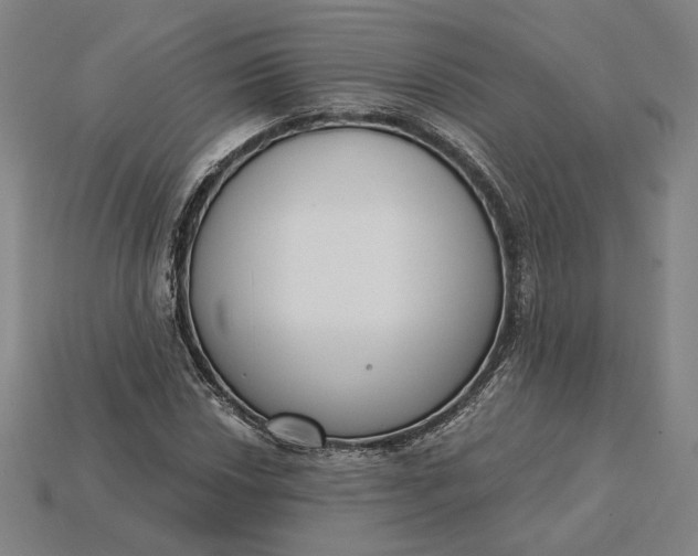 X0000115231018200911131639