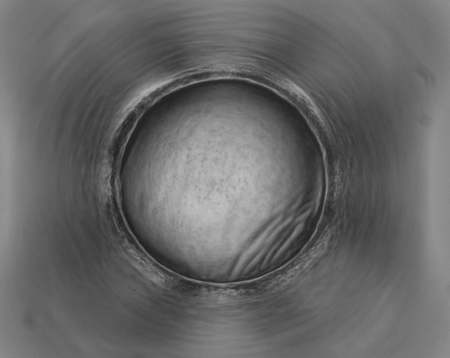 X0000115231019200911131639