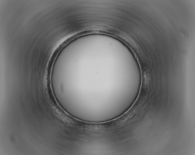 X0000115231020200911131639