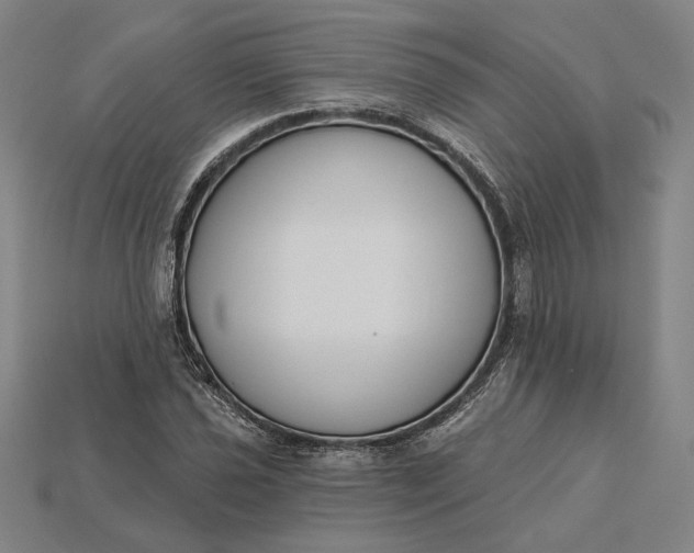 X0000115231021200911131639