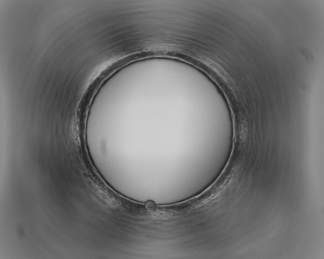 X0000115231022200911131639