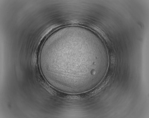X0000115231023200911131639