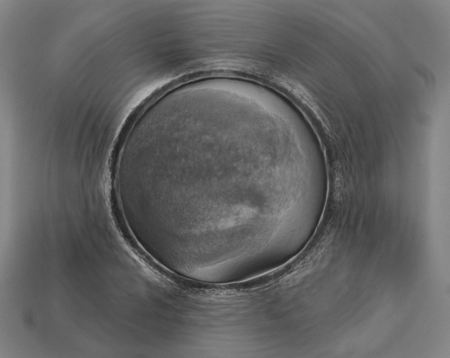 X0000115231024200911131639