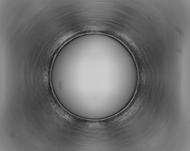 X0000115231025200911131639