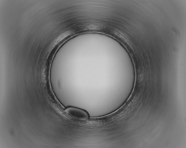 X0000115231026200911131639
