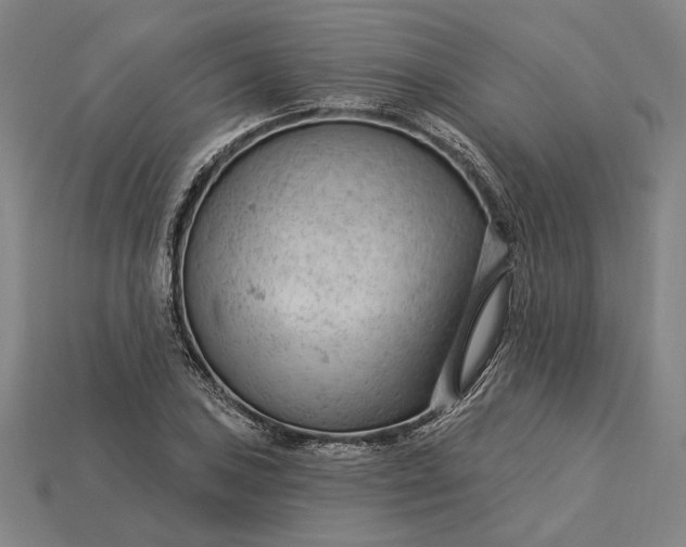 X0000115231027200911131639