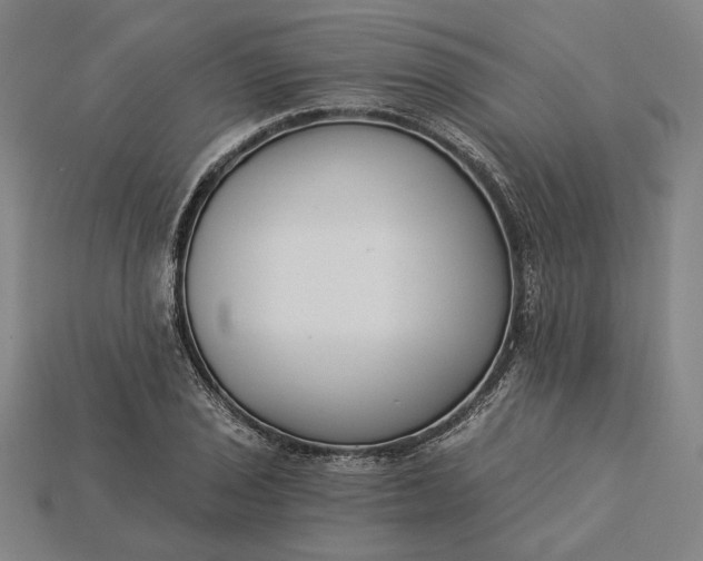 X0000115231029200911131639