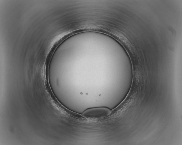 X0000115231030200911131639