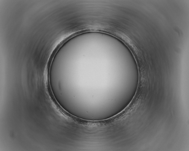X0000115231032200911131639