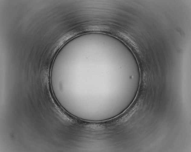 X0000115231033200911131639