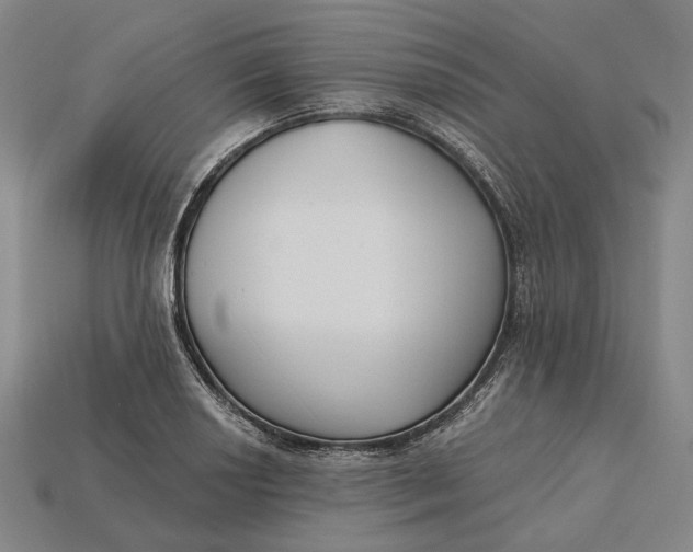 X0000115231034200911131639
