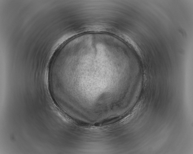X0000115231035200911131639