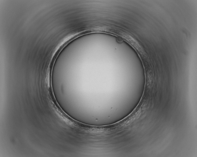 X0000115231036200911131639