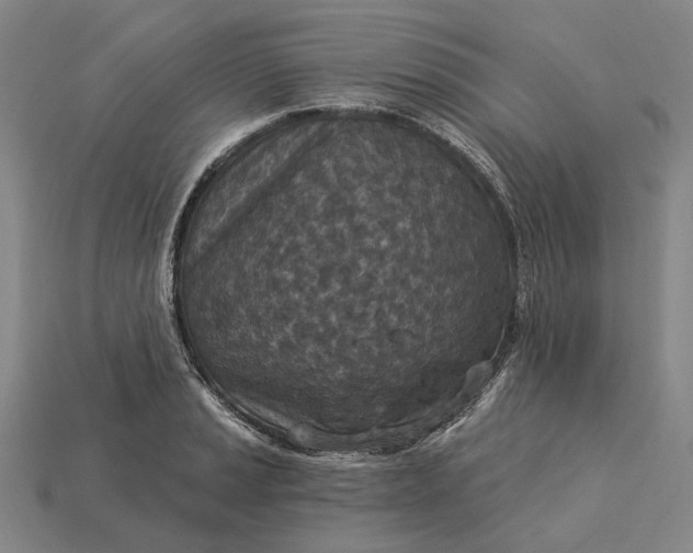 X0000115231037200911131639