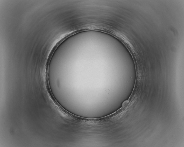 X0000115231040200911131639