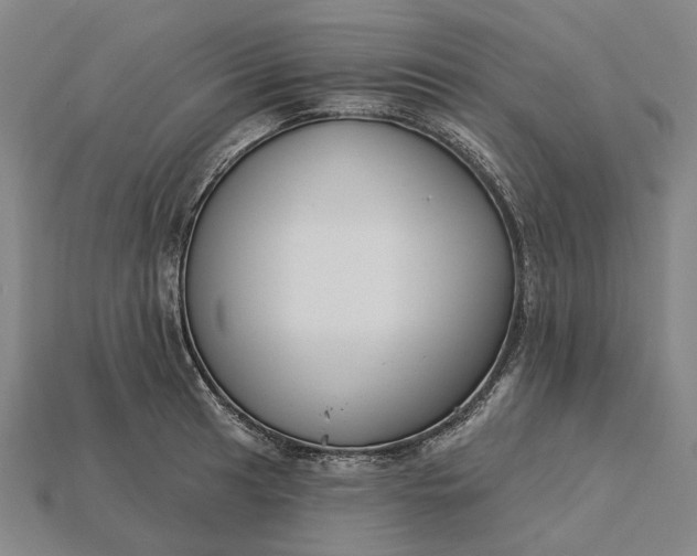 X0000115231041200911131639