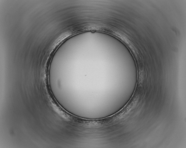 X0000115231042200911131639
