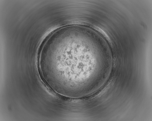 X0000115231043200911131639