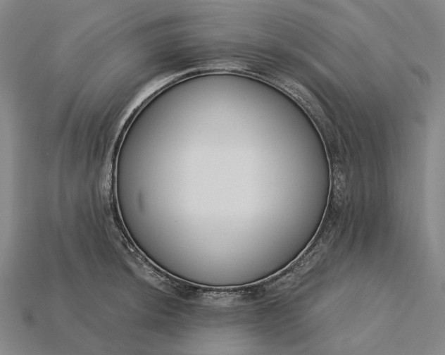 X0000115231044200911131639