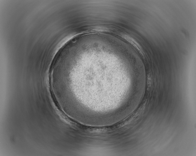 X0000115231047200911131639