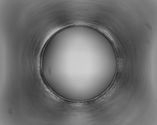 X0000115231048200911131639