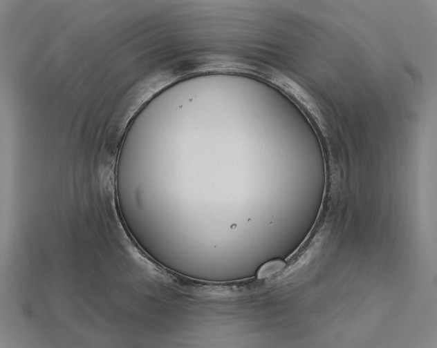 X0000115231049200911131639