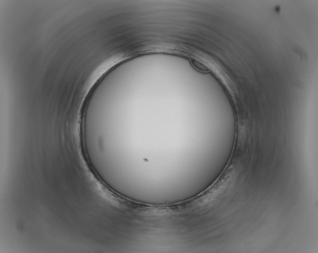 X0000115231050200911131639