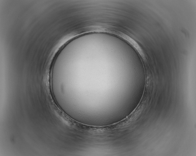 X0000115231051200911131639