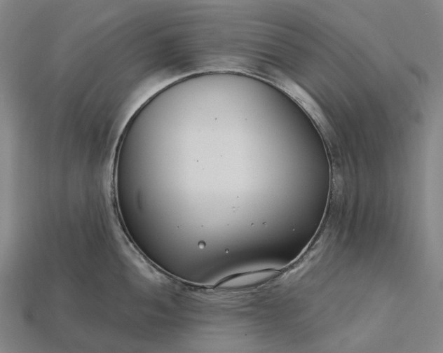 X0000115231052200911131639