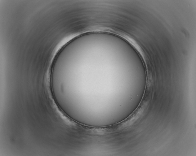X0000115231053200911131639