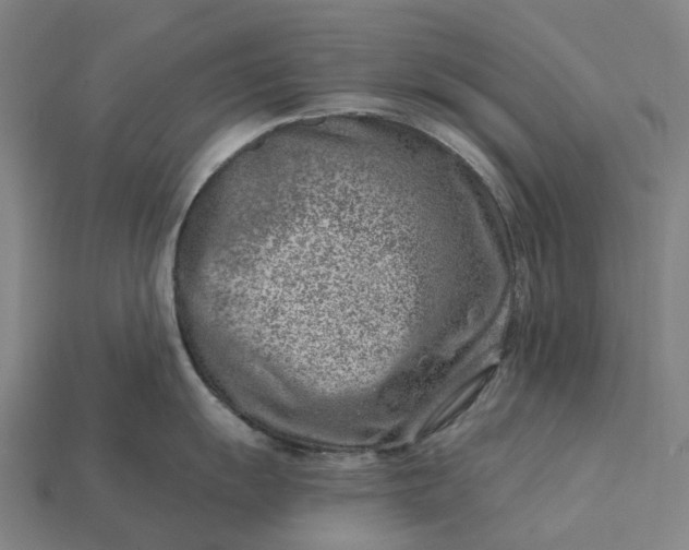 X0000115231055200911131639
