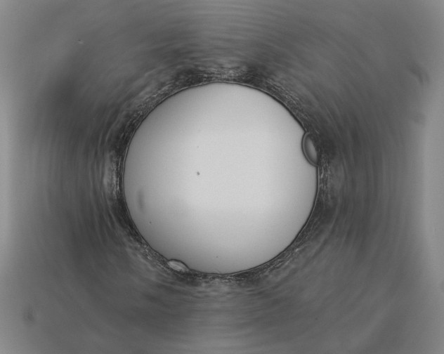 X0000115231058200911131639
