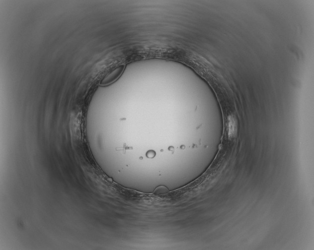 X0000115231059200911131639