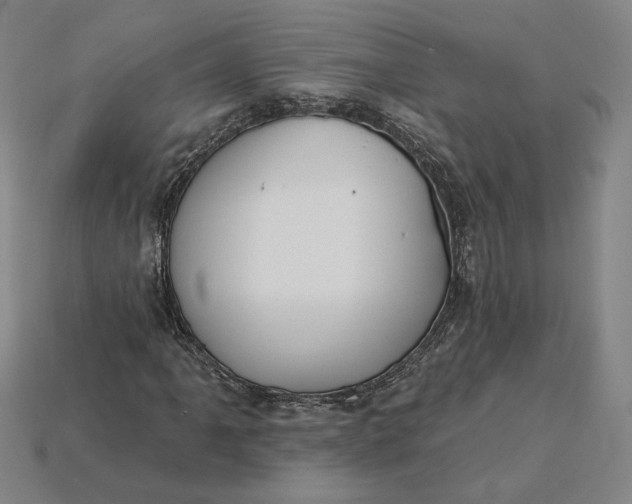 X0000115231061200911131639
