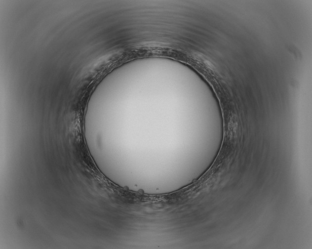 X0000115231062200911131639