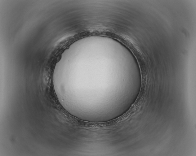 X0000115231063200911131639