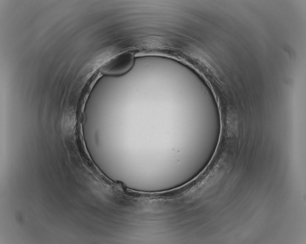 X0000115231065200911131639
