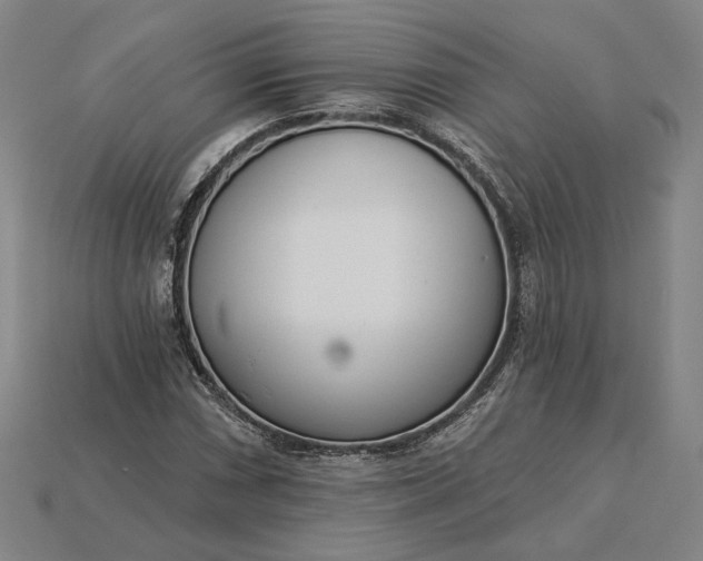 X0000115231066200911131639