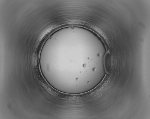 X0000115231067200911131639