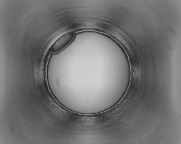 X0000115231068200911131639
