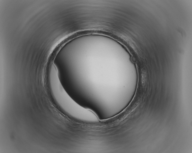 X0000115231069200911131639