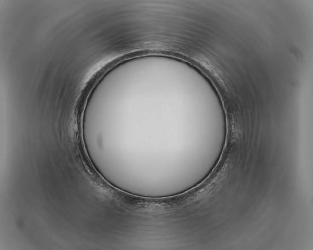 X0000115231070200911131639
