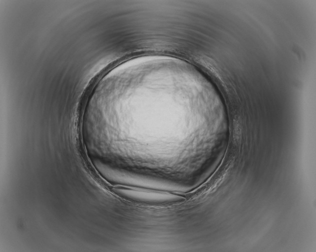 X0000115231071200911131639