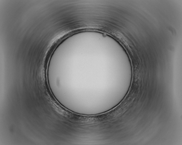 X0000115231072200911131639