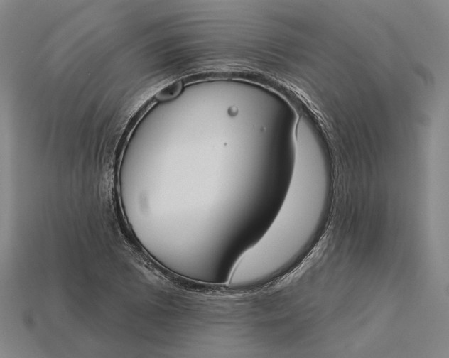 X0000115231073200911131639