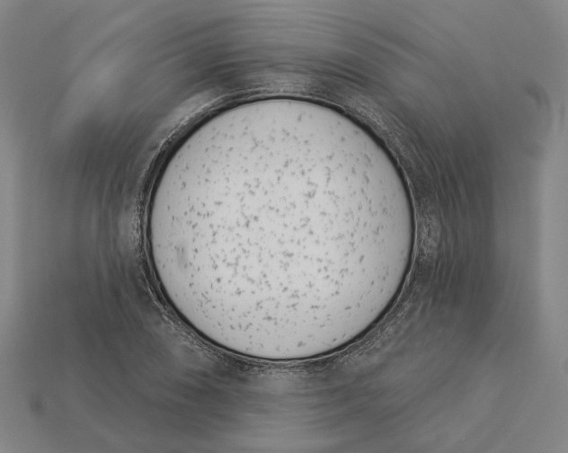 X0000115231074200911131639
