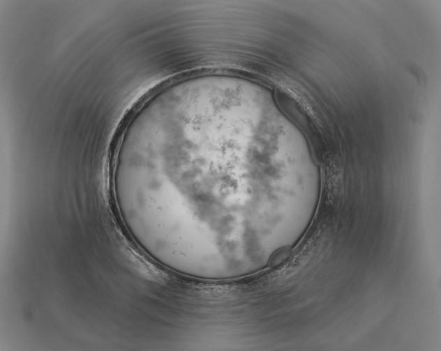 X0000115231076200911131639