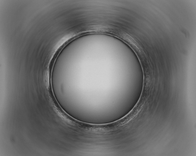X0000115231079200911131639