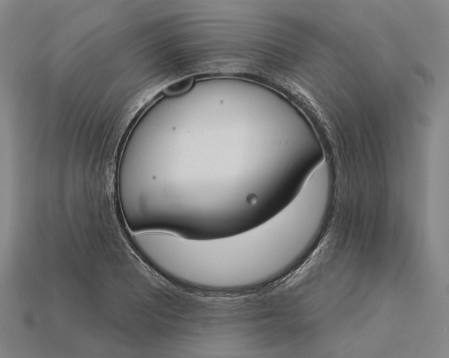 X0000115231081200911131639